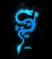 Ziel Sports